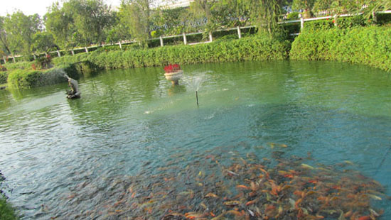 金海浆纸厂污水处理废水